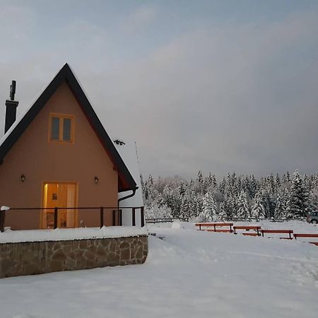 Vila Mountain House Popovic Tara Bajina Basta Exteriér fotografie
