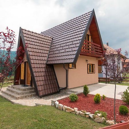 Vila Mountain House Popovic Tara Bajina Basta Exteriér fotografie