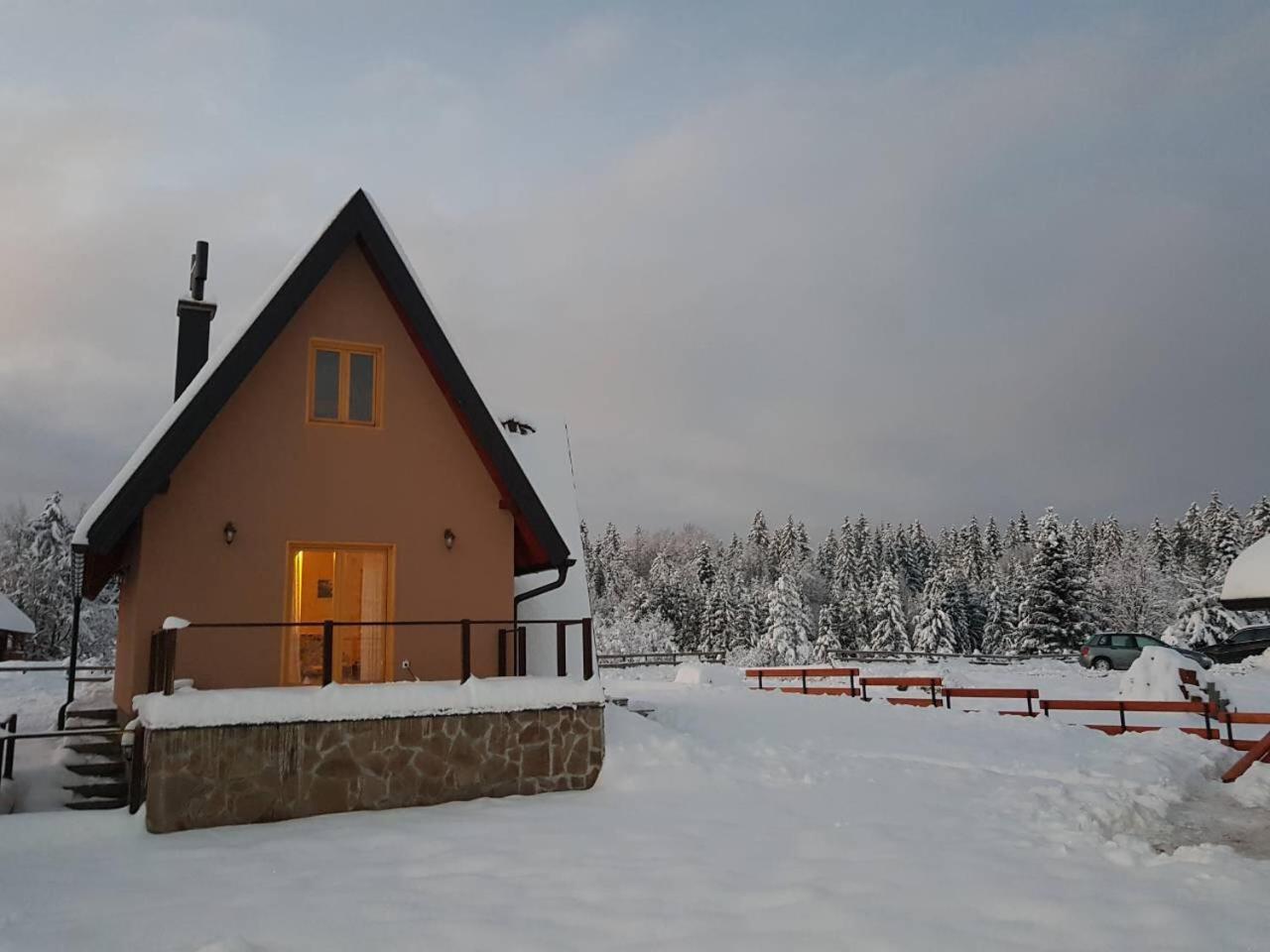 Vila Mountain House Popovic Tara Bajina Basta Exteriér fotografie