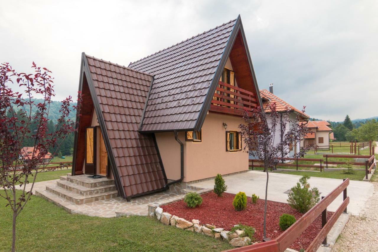 Vila Mountain House Popovic Tara Bajina Basta Exteriér fotografie