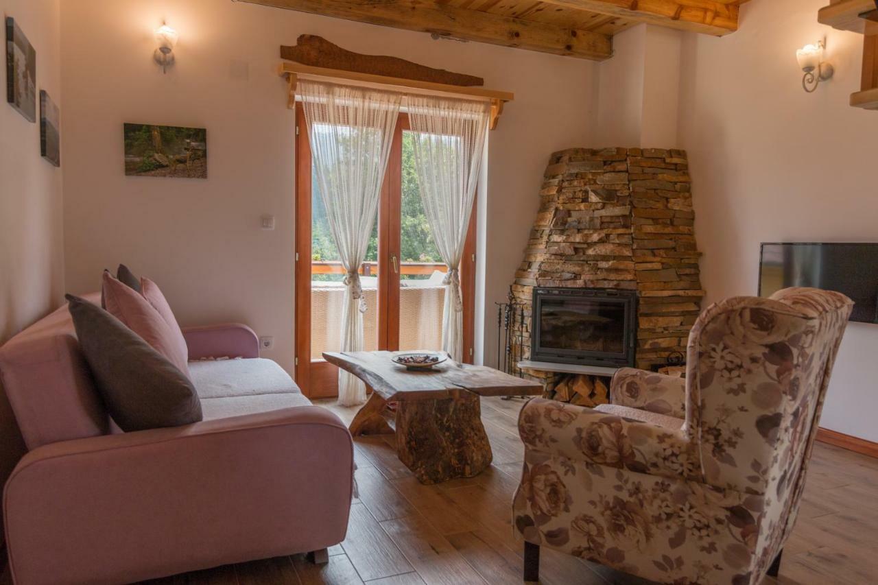 Vila Mountain House Popovic Tara Bajina Basta Exteriér fotografie