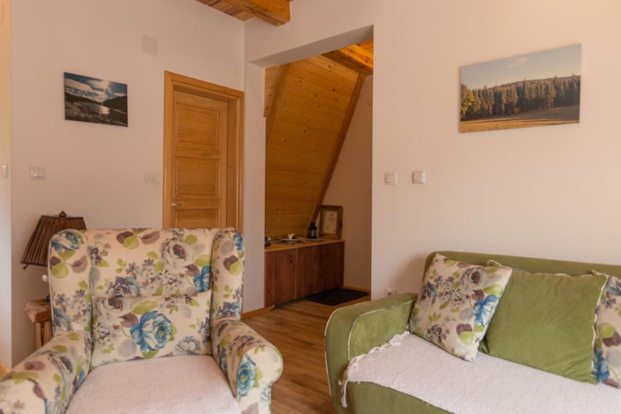 Vila Mountain House Popovic Tara Bajina Basta Exteriér fotografie
