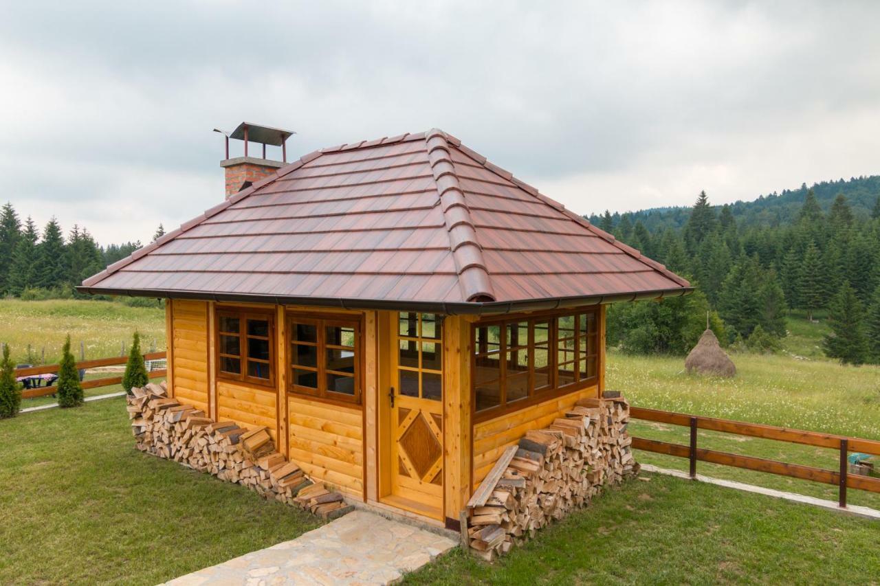 Vila Mountain House Popovic Tara Bajina Basta Exteriér fotografie