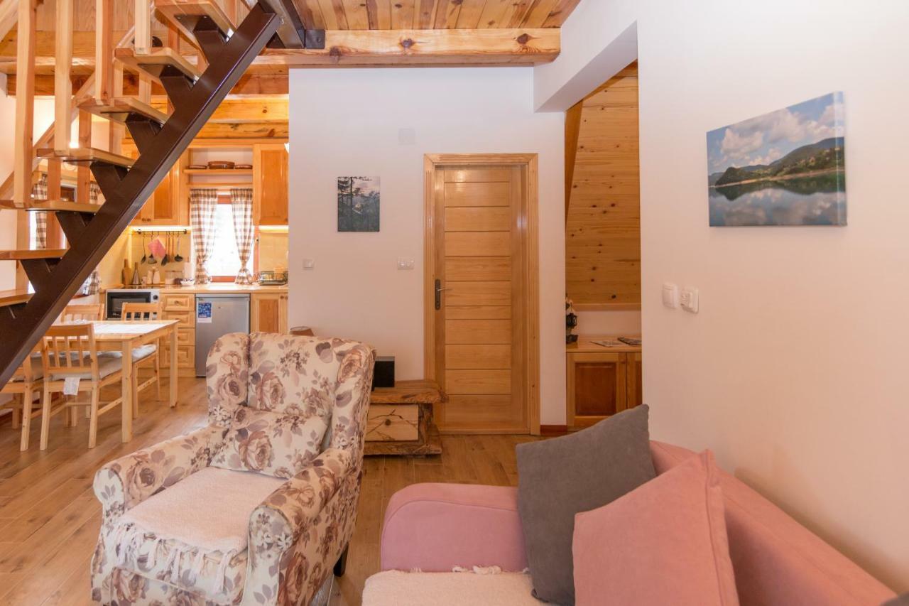Vila Mountain House Popovic Tara Bajina Basta Exteriér fotografie