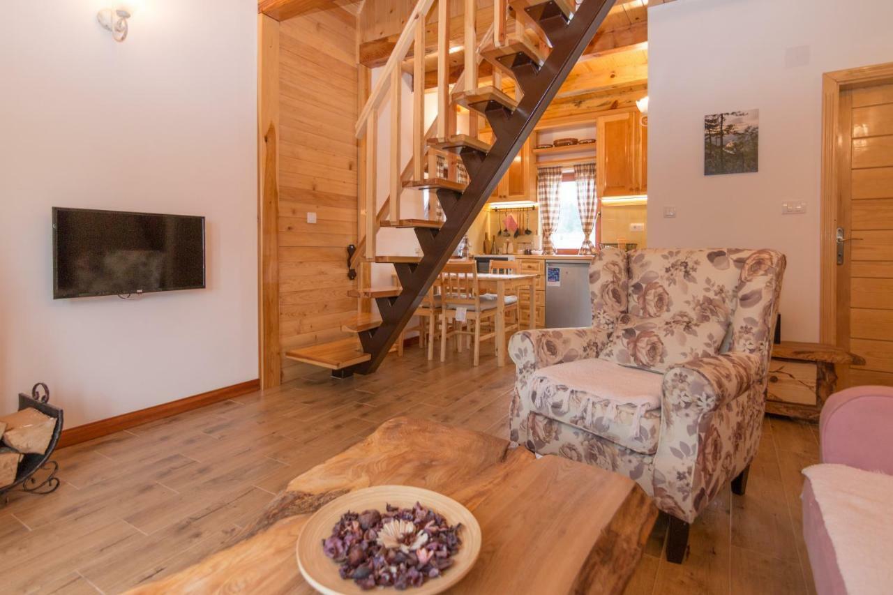 Vila Mountain House Popovic Tara Bajina Basta Exteriér fotografie