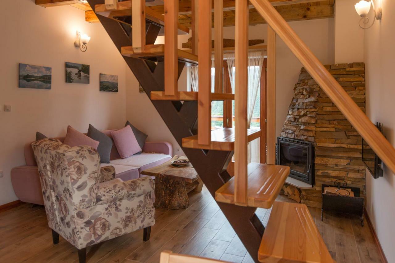 Vila Mountain House Popovic Tara Bajina Basta Exteriér fotografie