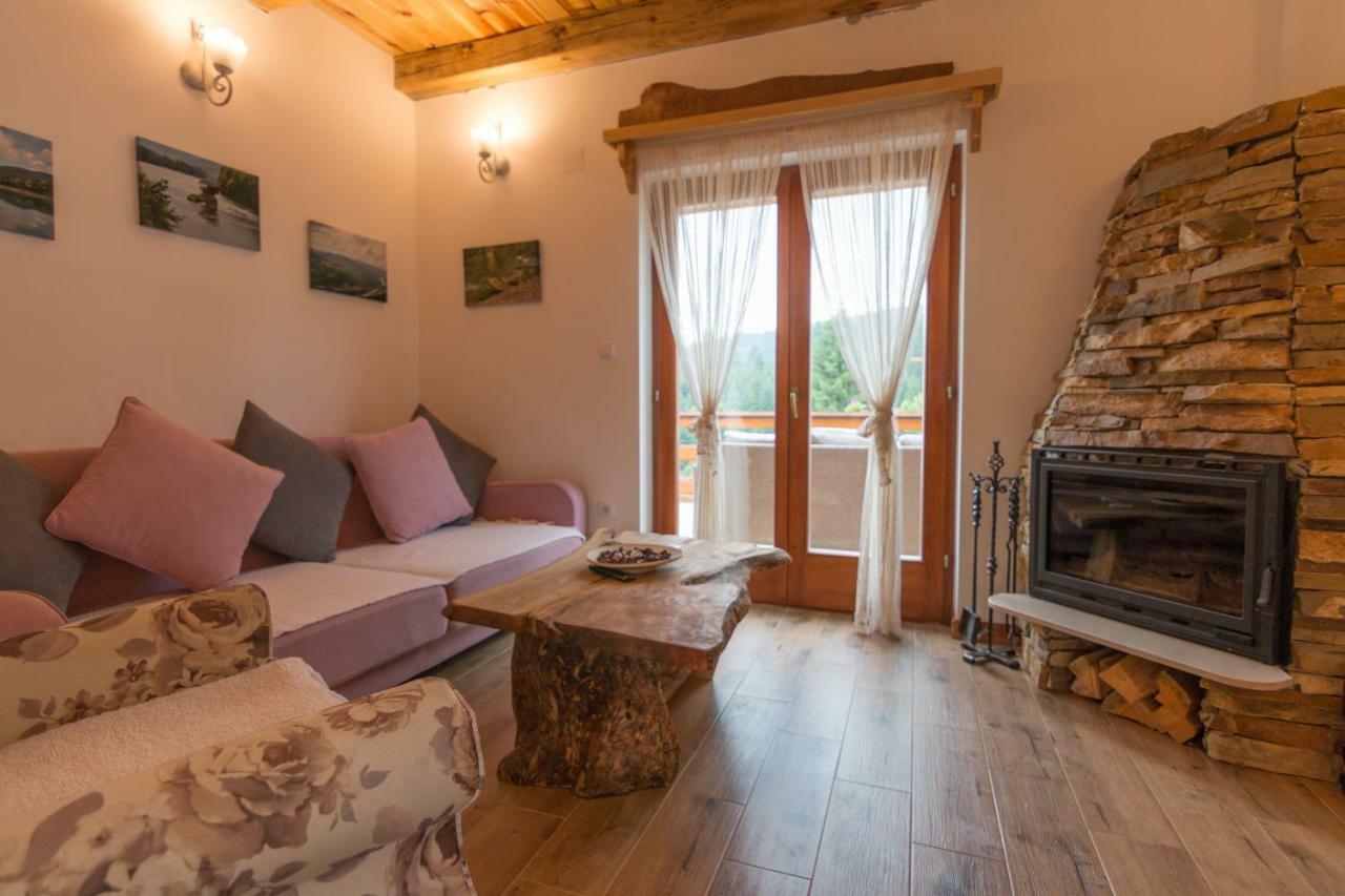 Vila Mountain House Popovic Tara Bajina Basta Exteriér fotografie
