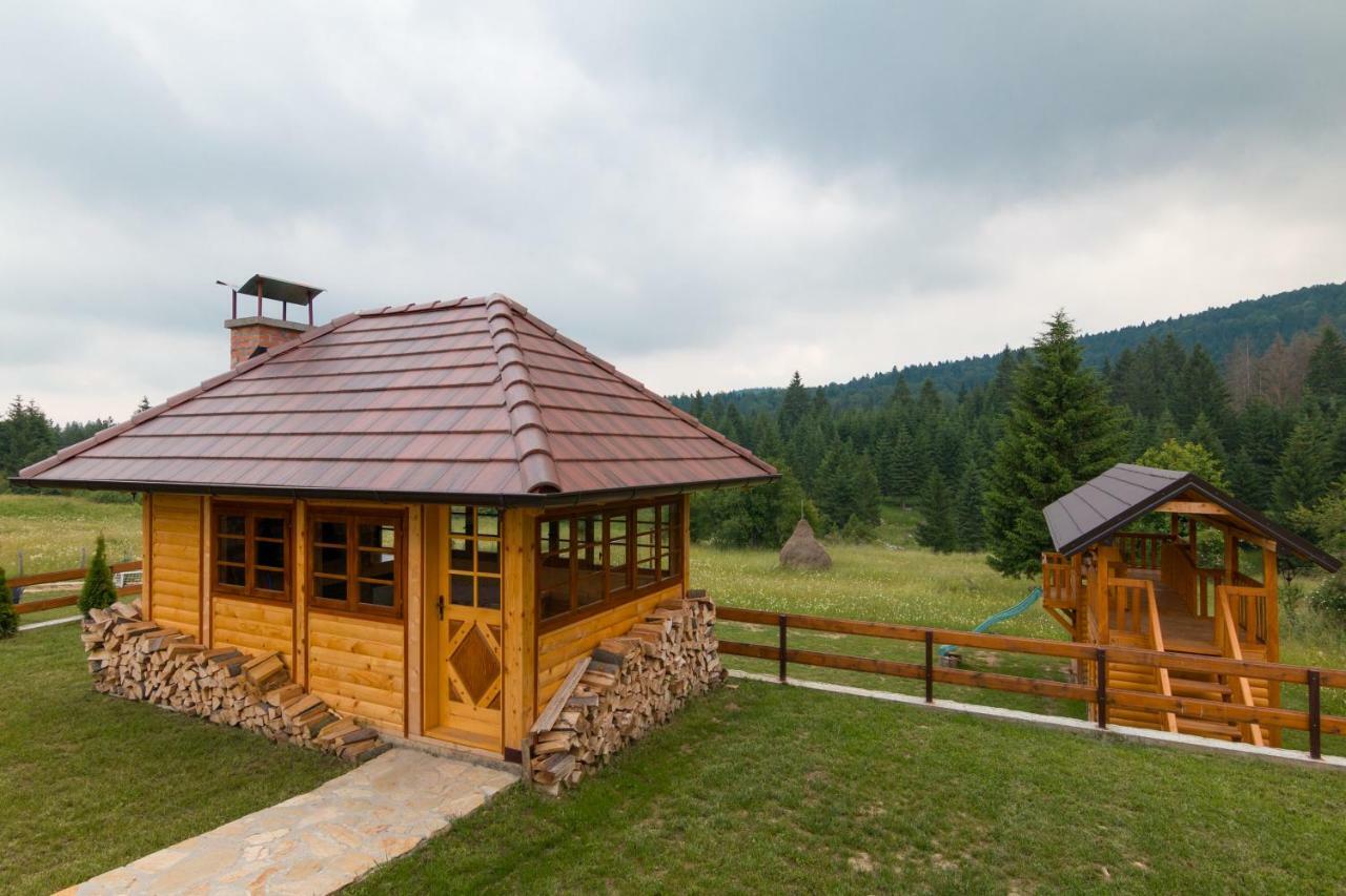 Vila Mountain House Popovic Tara Bajina Basta Exteriér fotografie
