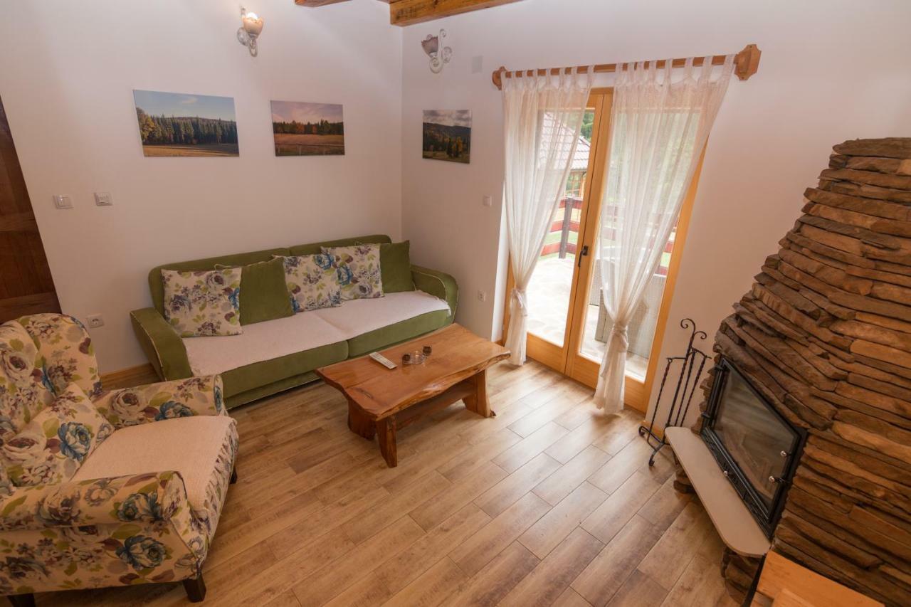 Vila Mountain House Popovic Tara Bajina Basta Exteriér fotografie
