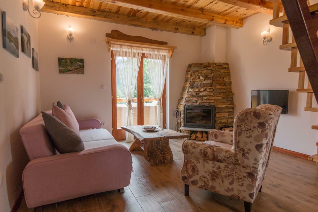 Vila Mountain House Popovic Tara Bajina Basta Exteriér fotografie