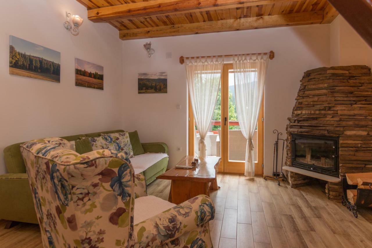 Vila Mountain House Popovic Tara Bajina Basta Exteriér fotografie