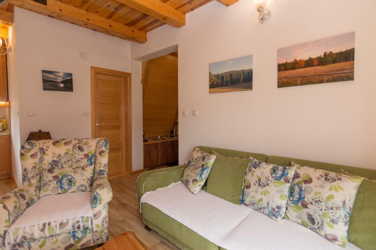 Vila Mountain House Popovic Tara Bajina Basta Exteriér fotografie