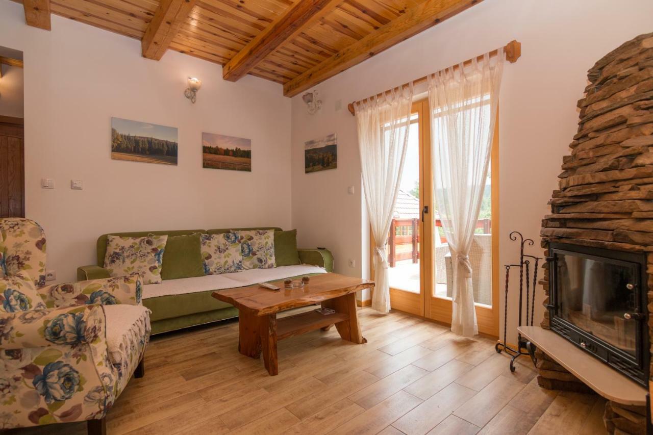 Vila Mountain House Popovic Tara Bajina Basta Exteriér fotografie