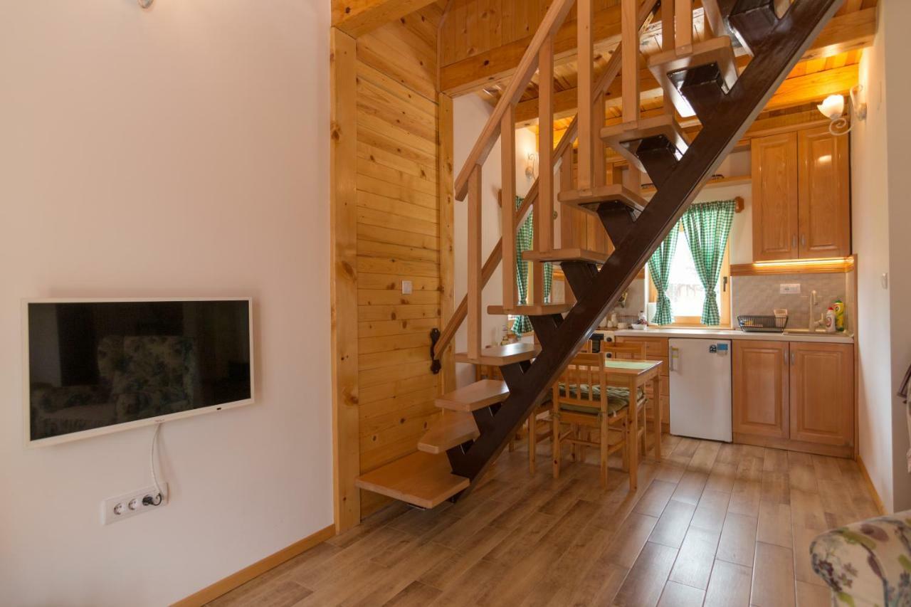 Vila Mountain House Popovic Tara Bajina Basta Exteriér fotografie