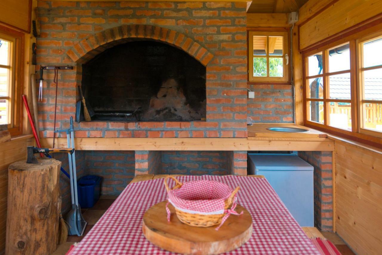 Vila Mountain House Popovic Tara Bajina Basta Exteriér fotografie