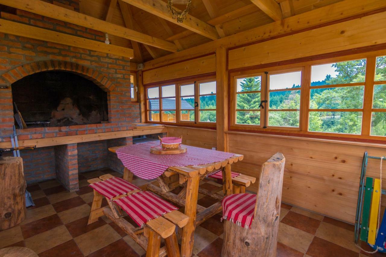 Vila Mountain House Popovic Tara Bajina Basta Exteriér fotografie