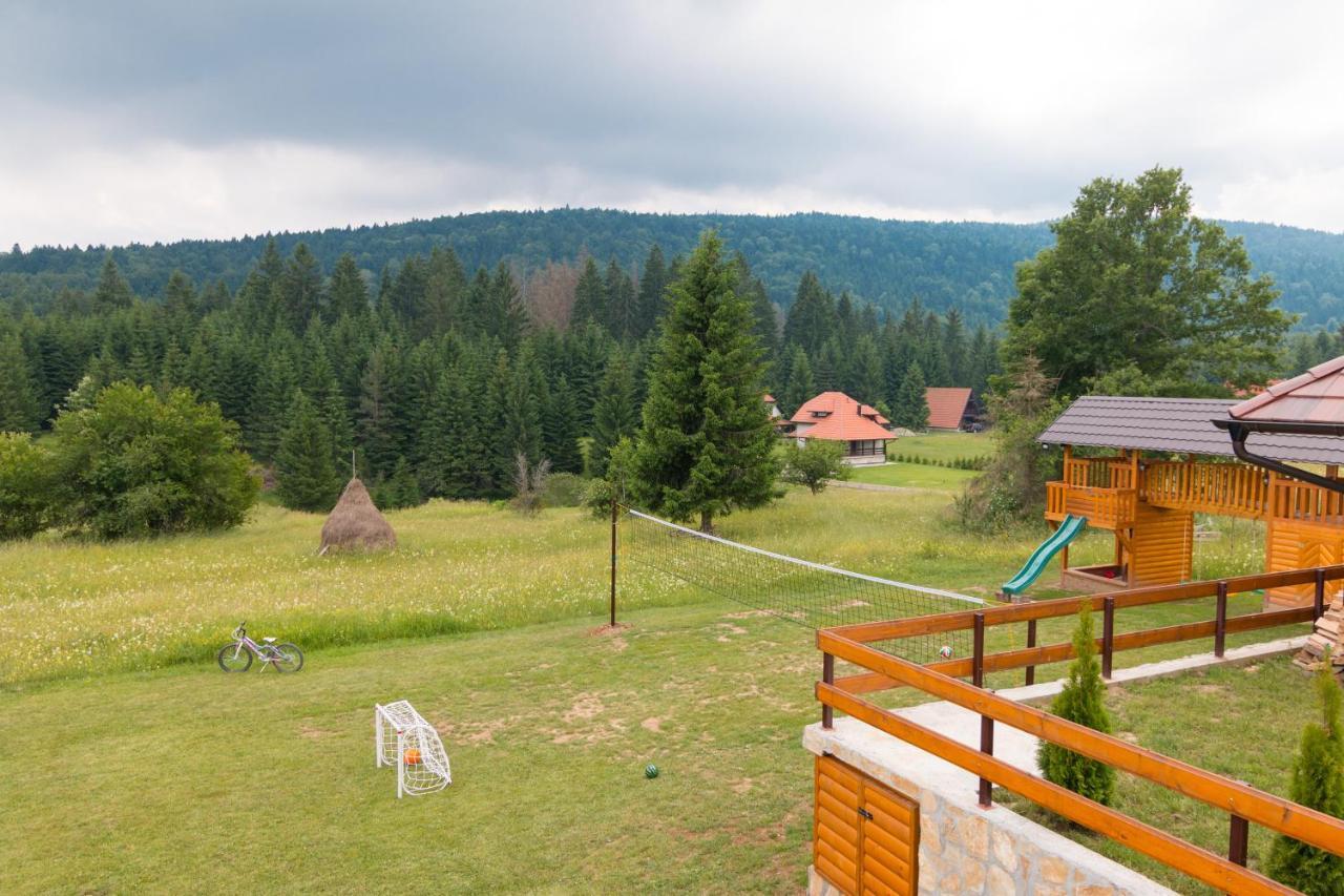 Vila Mountain House Popovic Tara Bajina Basta Exteriér fotografie